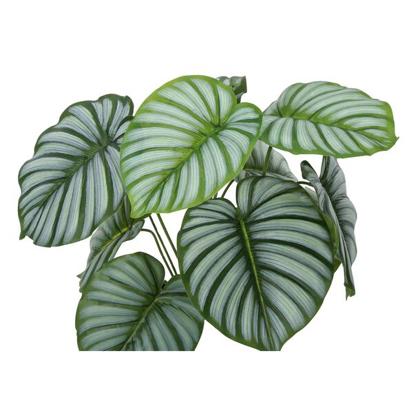 Black Green 24-Inch Calathea Indoor Table Potted Real Touch Artificial Plant, image 5